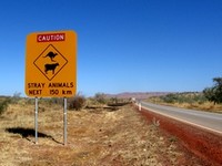 Warning sign on Australian Outback road