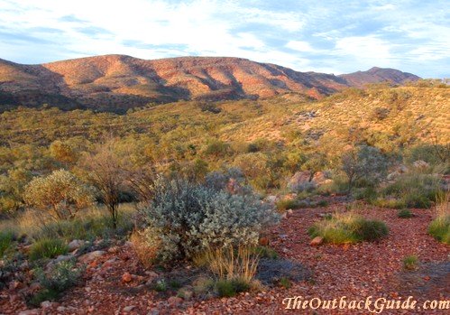 Near Alice Springs