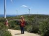 Windmills at Albany